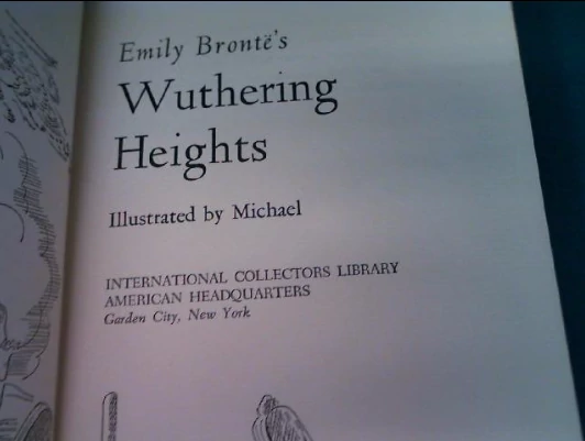 Wuthering Heights book Insights